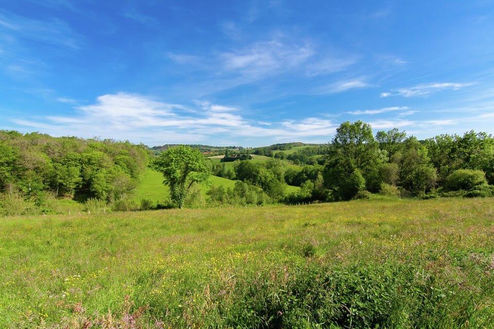House | View from property