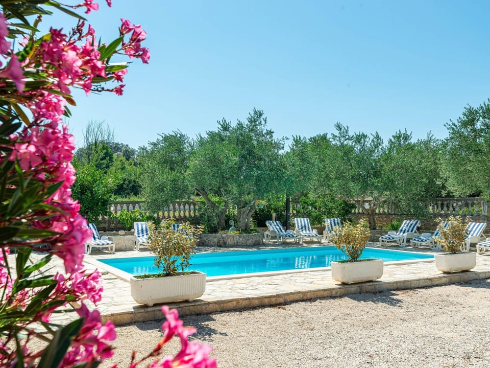 House | Pool | Indoor pool, outdoor pool