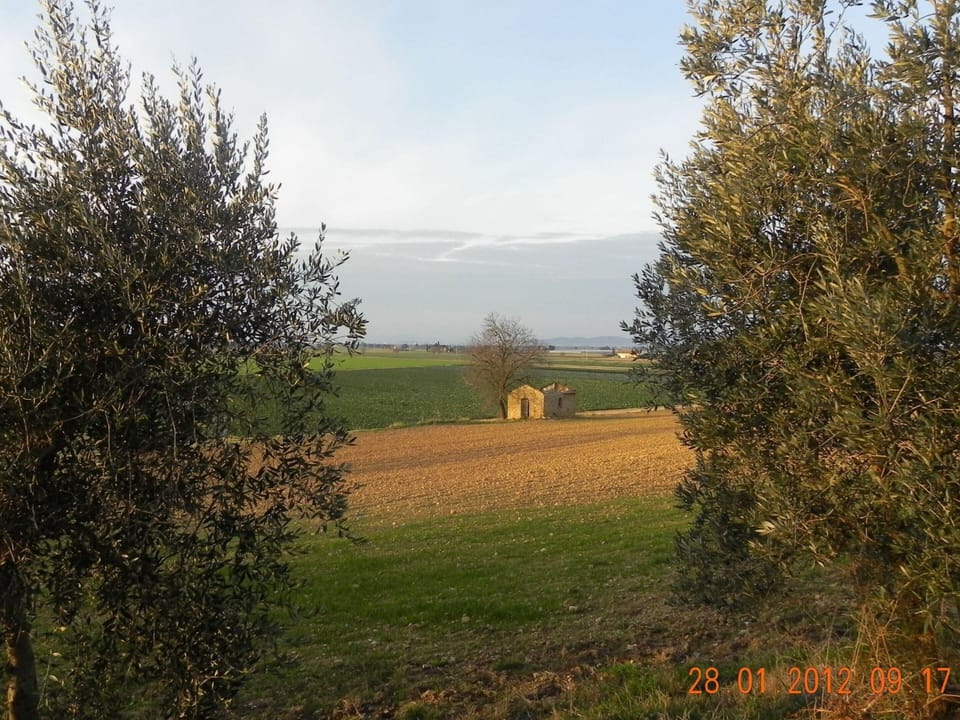 House | View from property