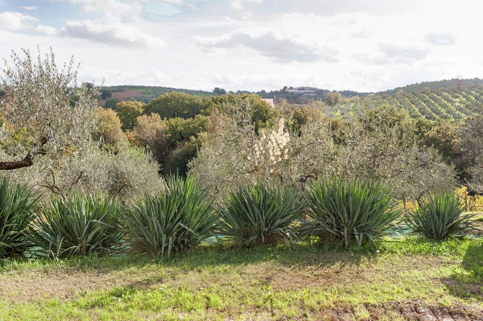 House | View from property