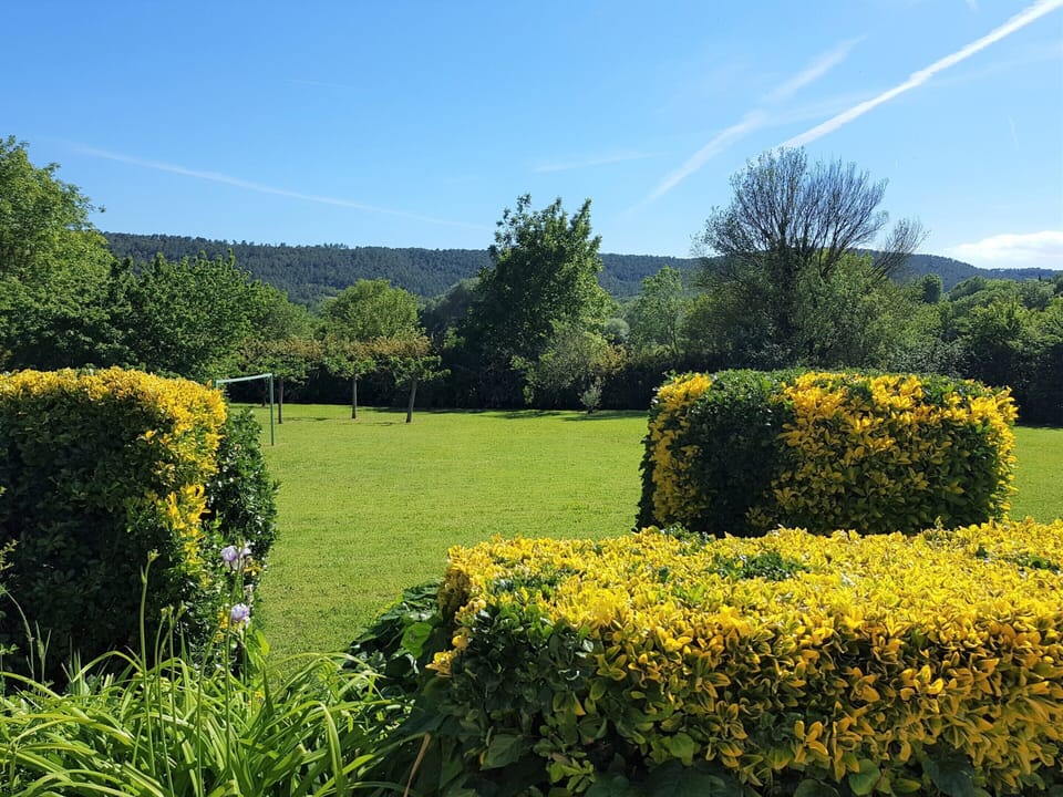 House | Garden