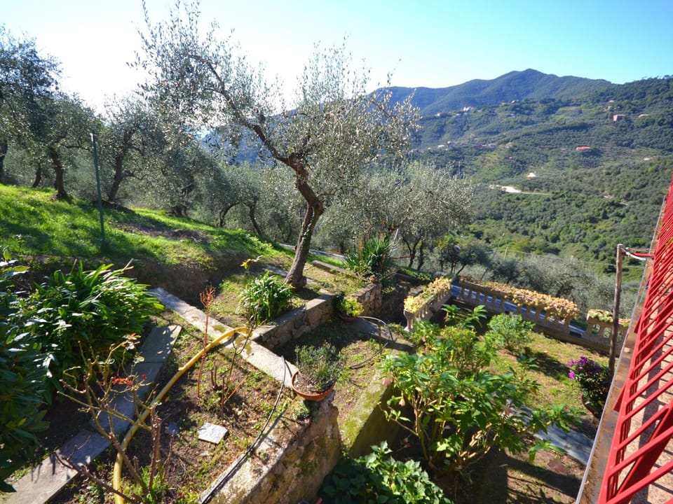 House | Garden