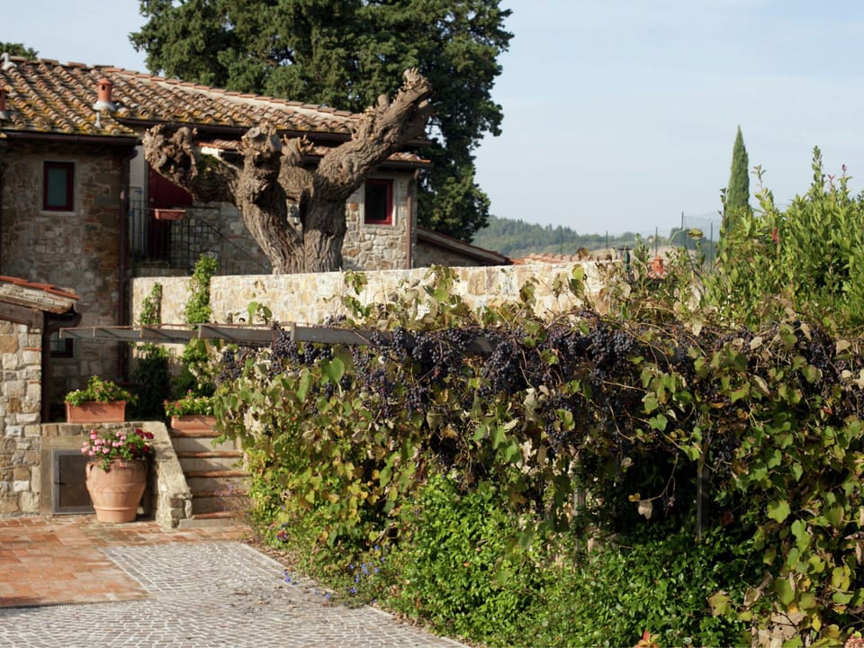 House | Exterior