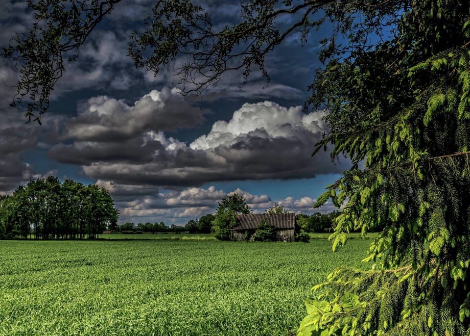 Romantic Farmhouse Escape House in Overijssel (province)