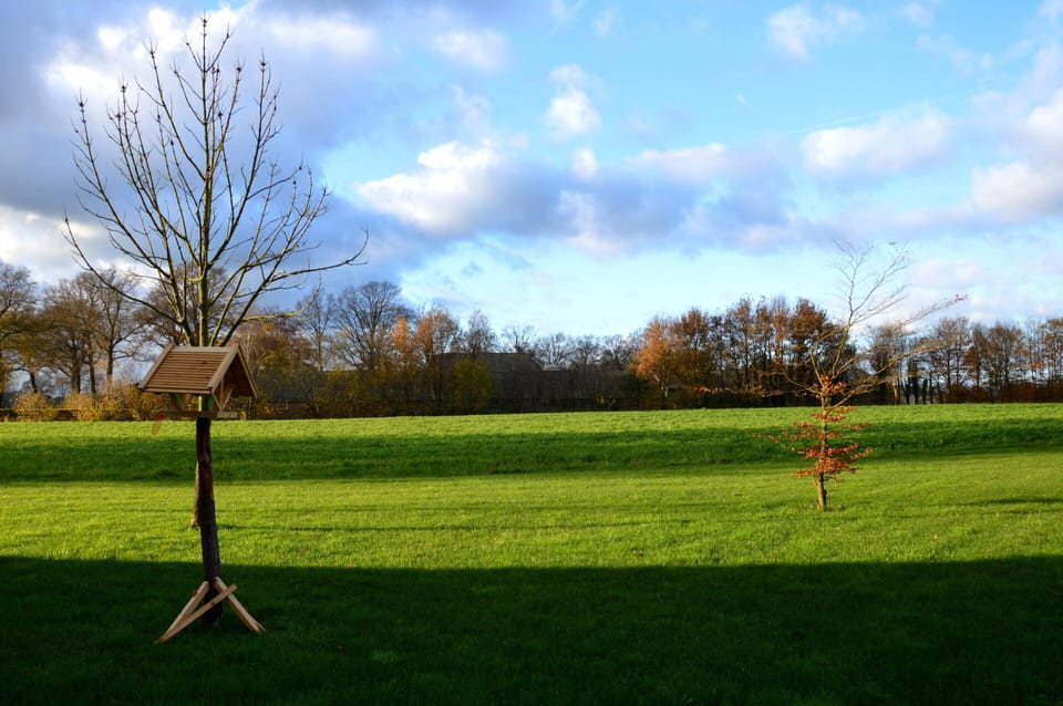 House | View from property