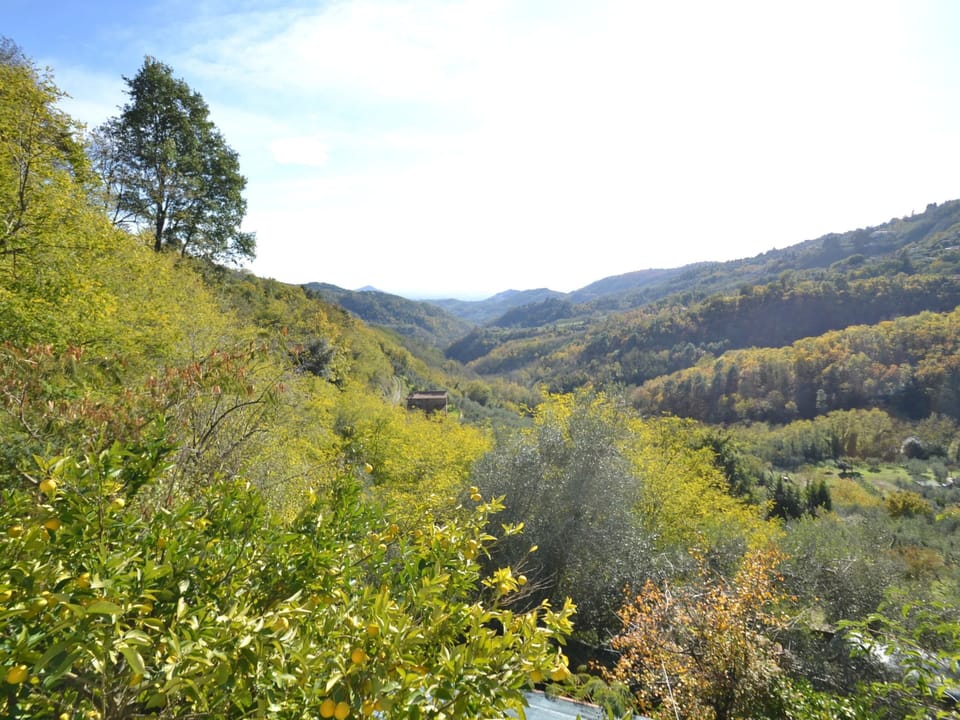 Cottage | View from property