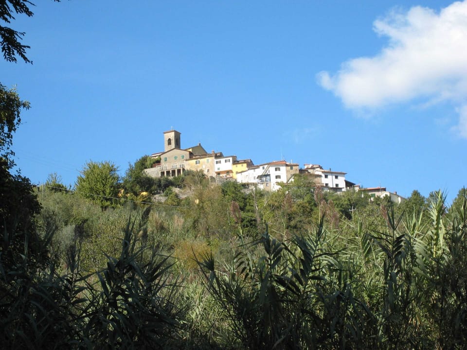 Cottage | View from property