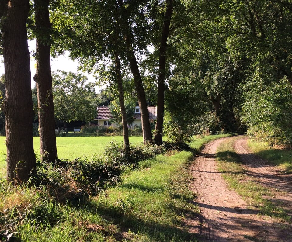 House | View from property