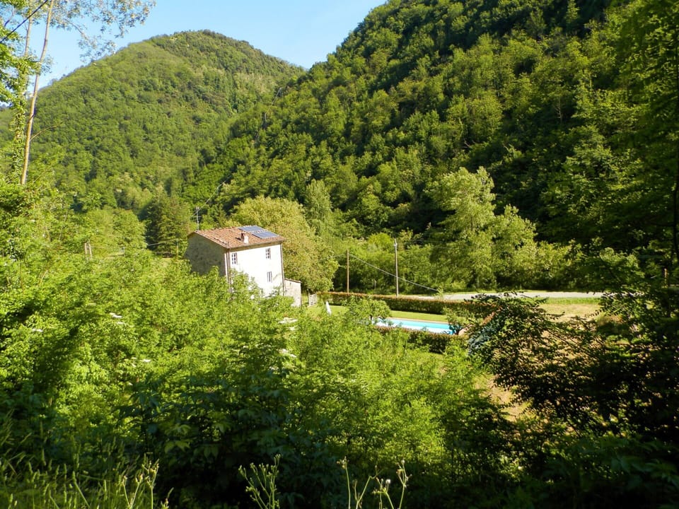 Cottage | View from property