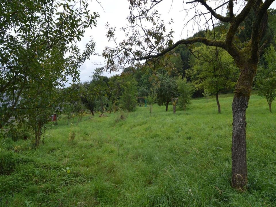 Apartment | View from property