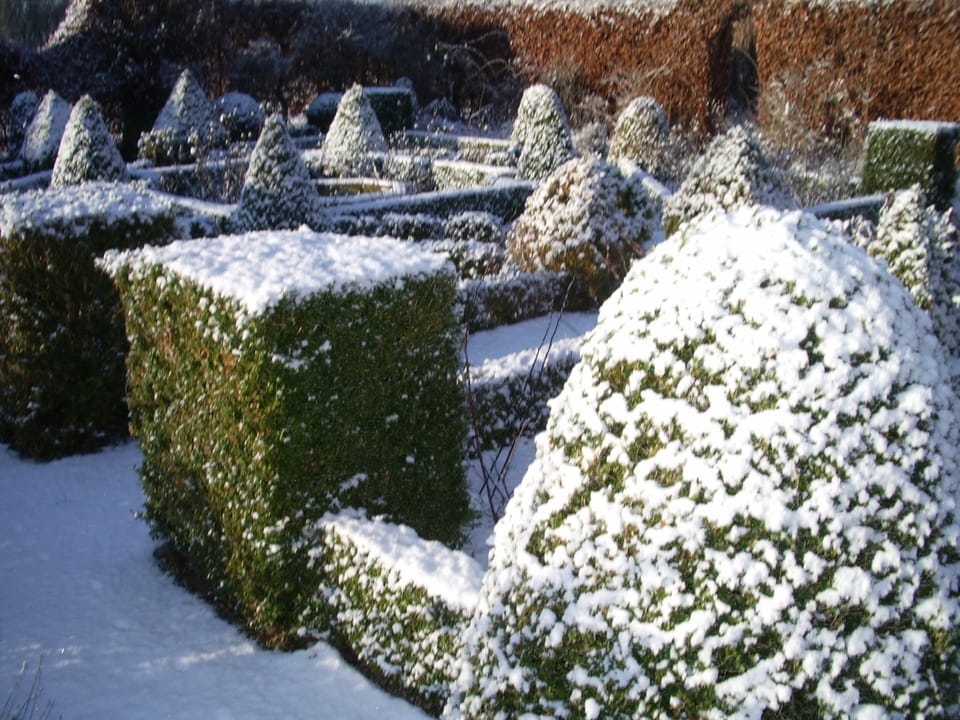 House | Garden