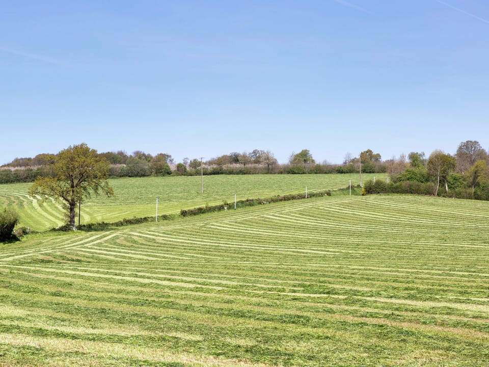 House | View from property