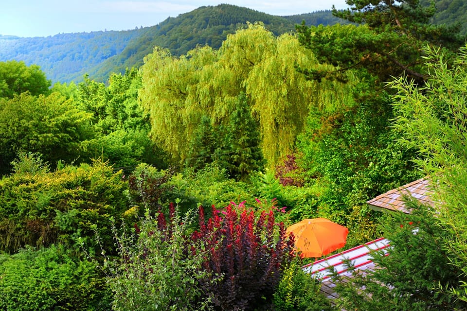 Chalet | View from property