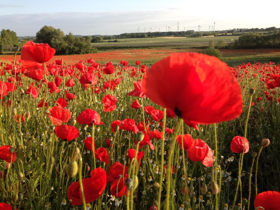 Apartment | Interior detail