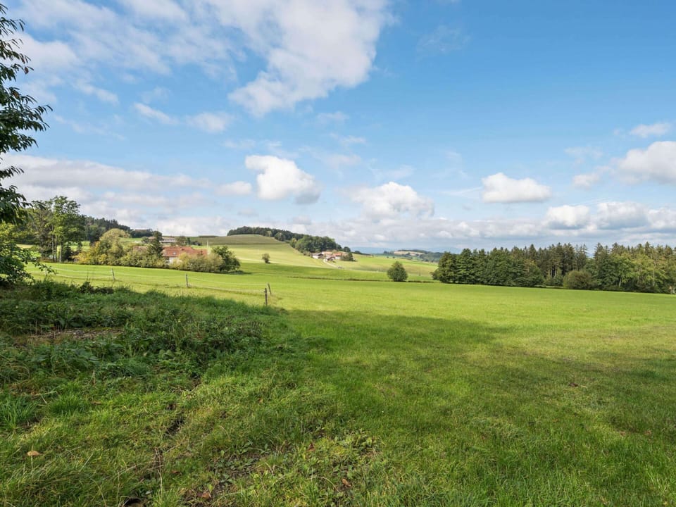House | View from property
