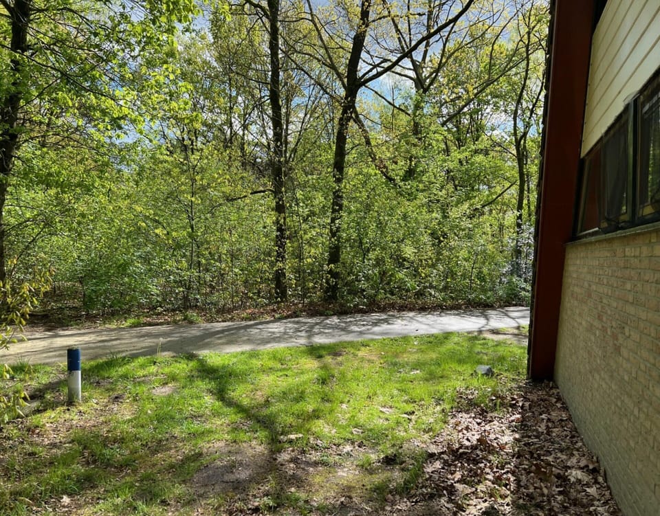 House | View from property