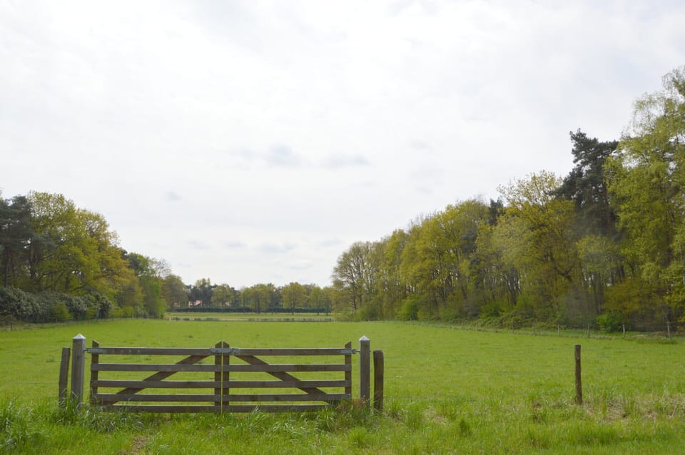 House | View from property