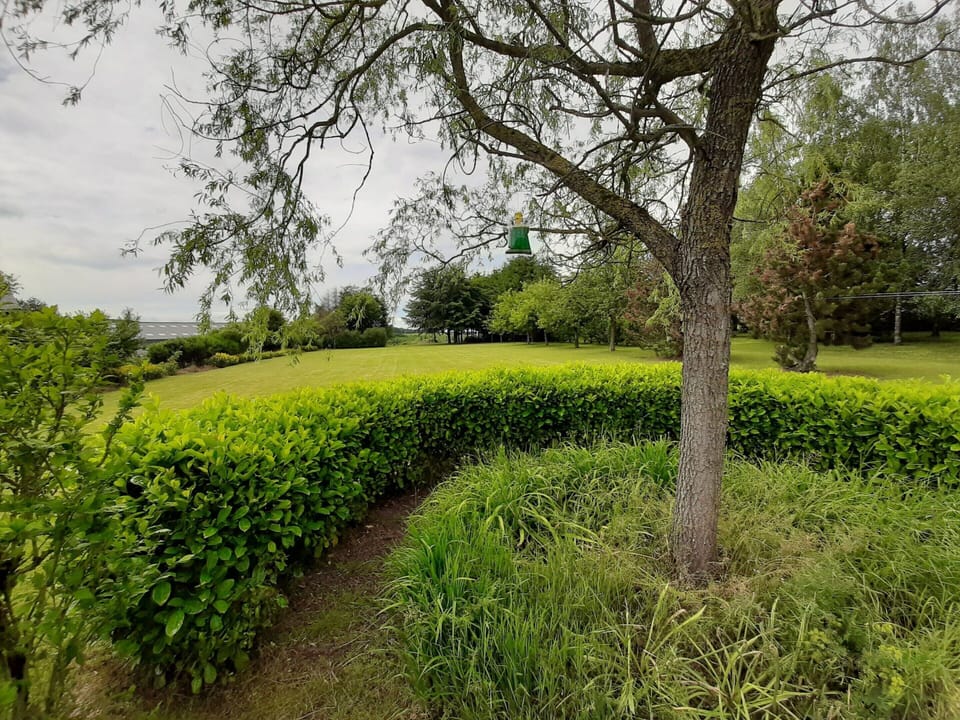 House | Garden