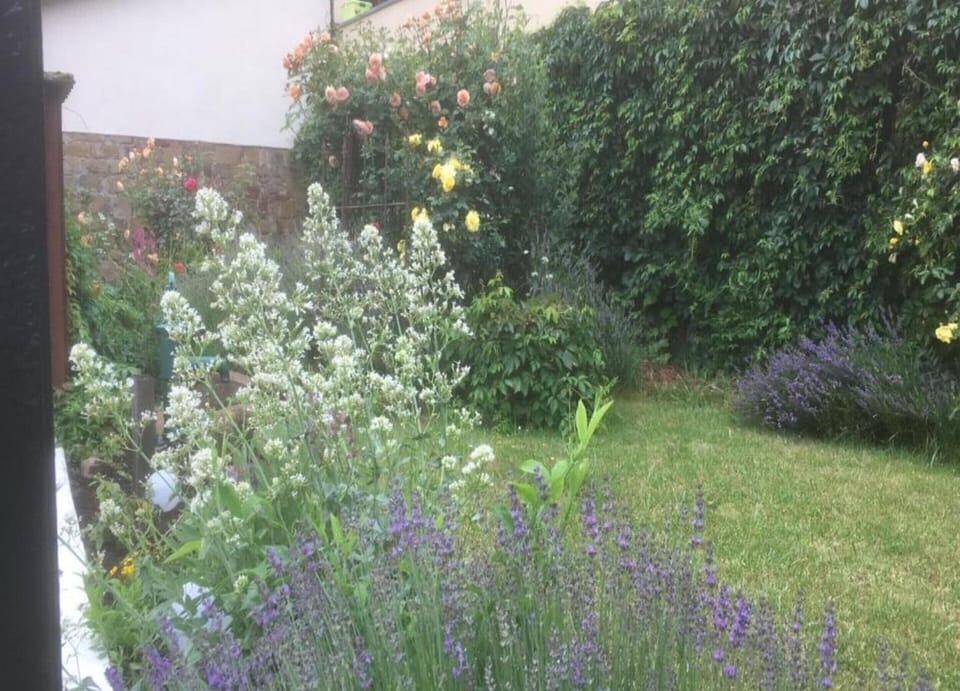 House | View from property