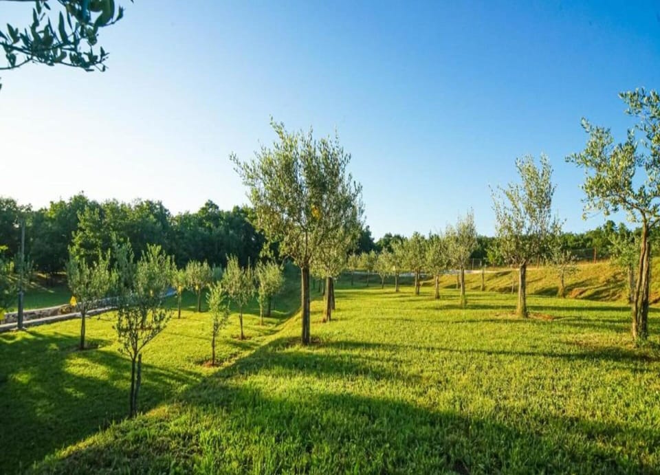 Apartment | View from property