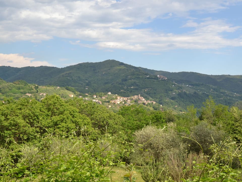 Cottage | View from property