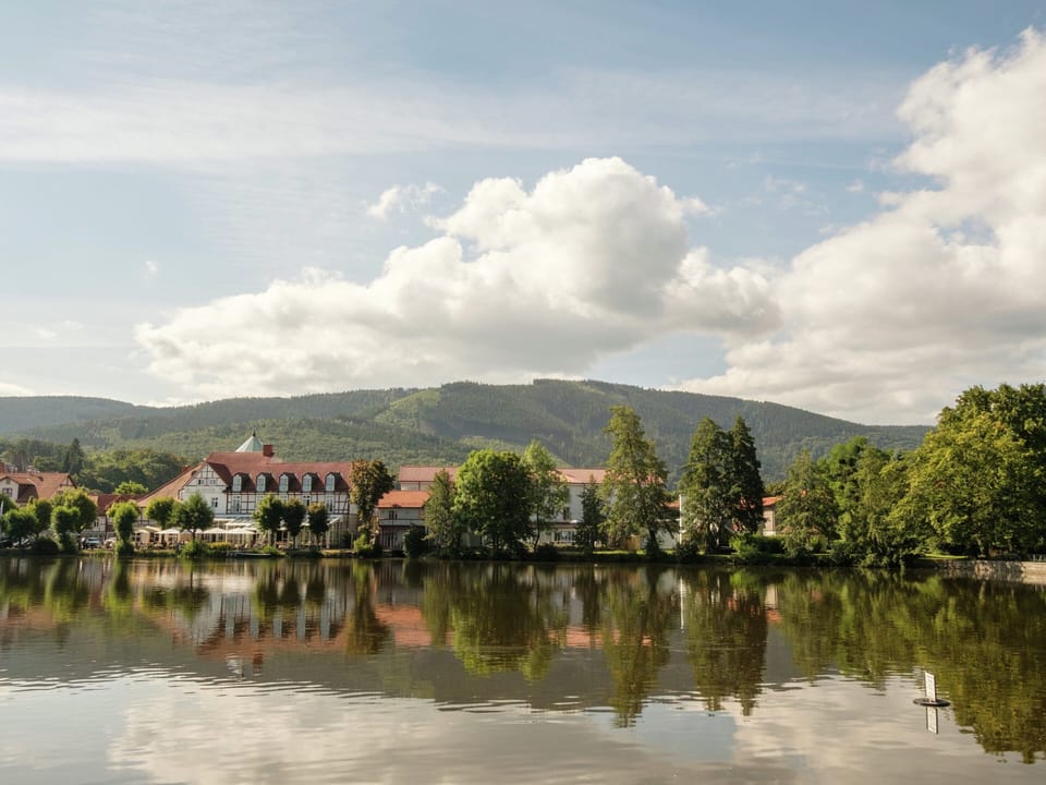 Lovely Apartment in Ilsenburg Harz near Ski Area Apartment in Wernigerode