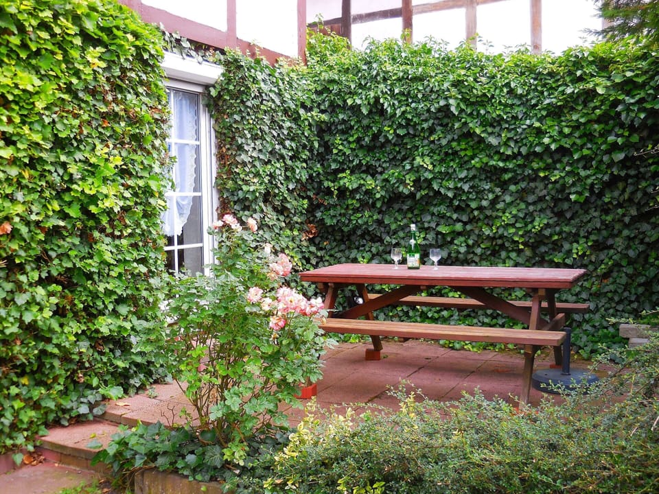 Apartment | Garden