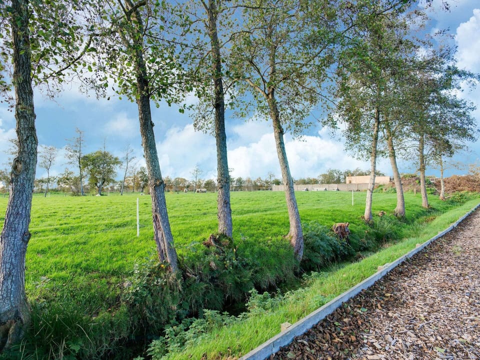 House | View from property
