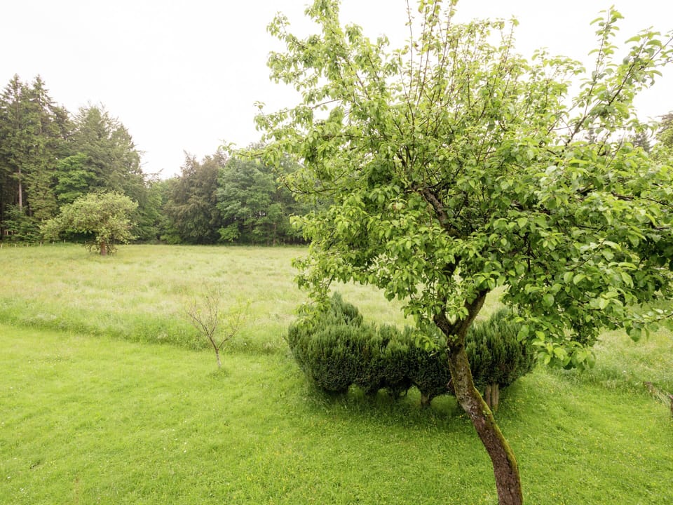 House | Garden