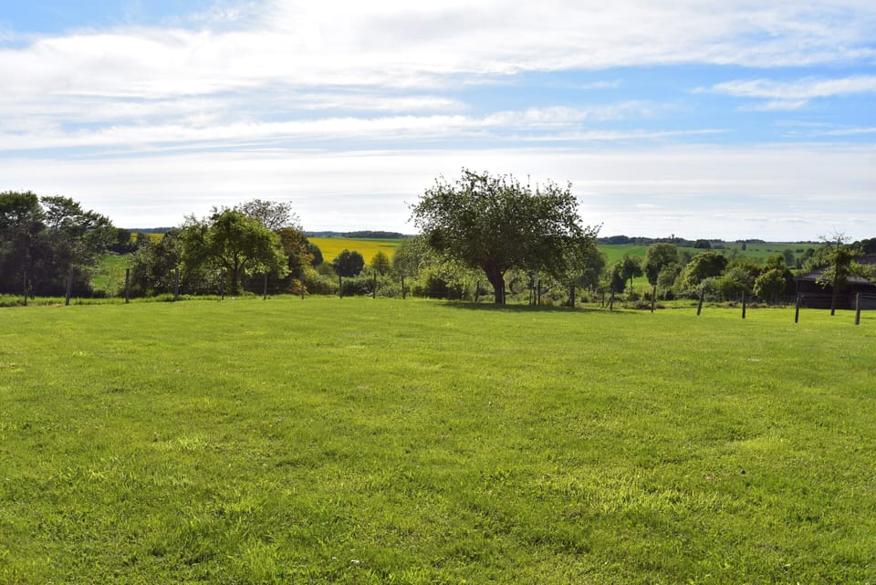 House | View from property