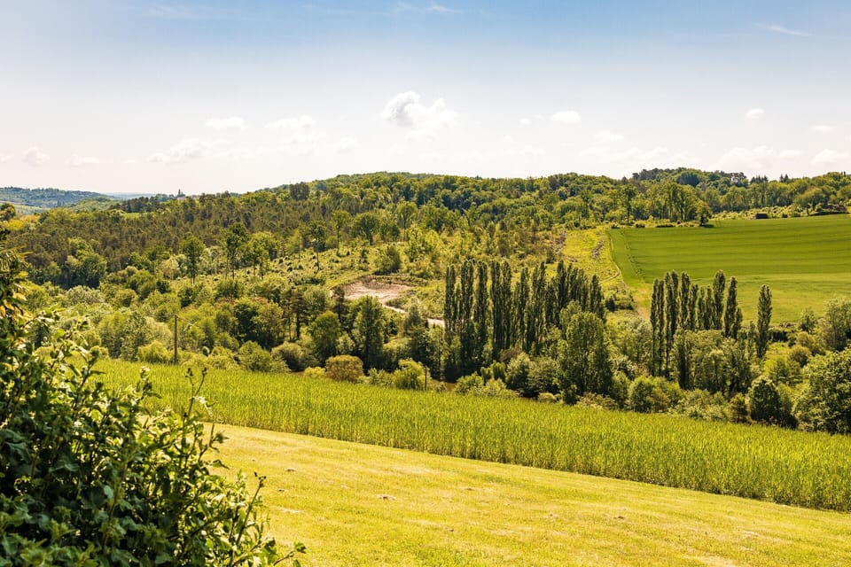 Cottage | View from property