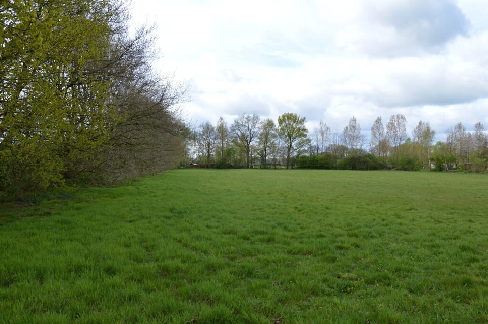 House | View from property