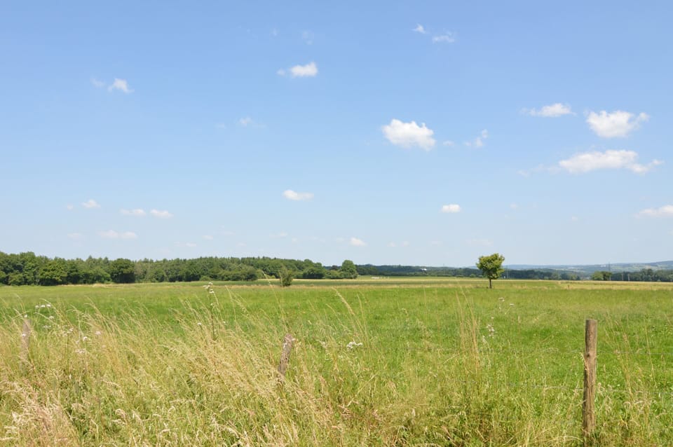 House | View from property