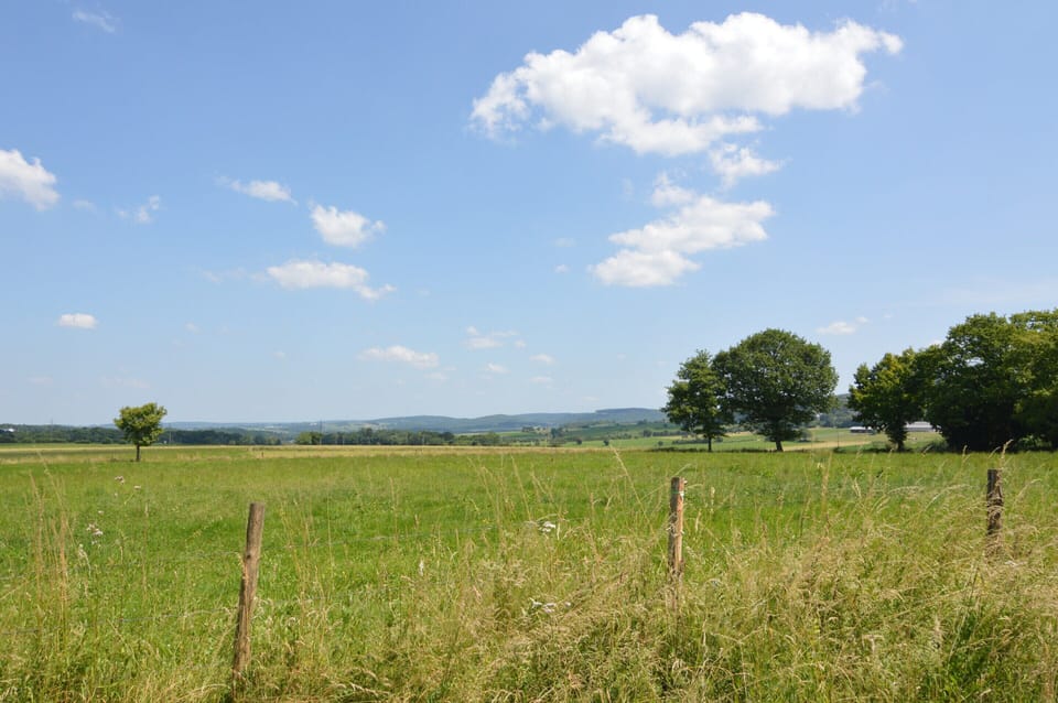 House | View from property