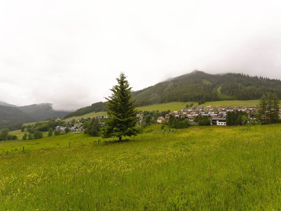 Chalet | View from property