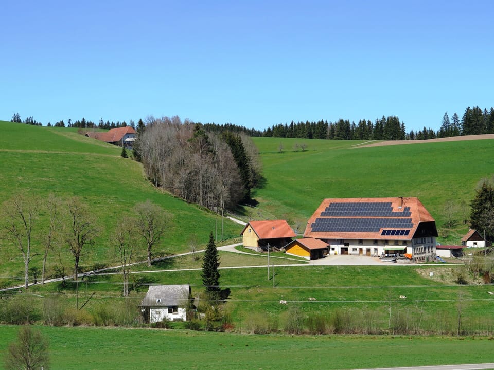 House | View from property