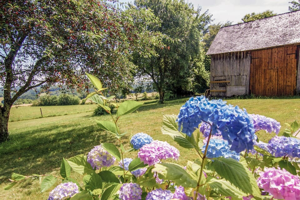 Cottage | View from property