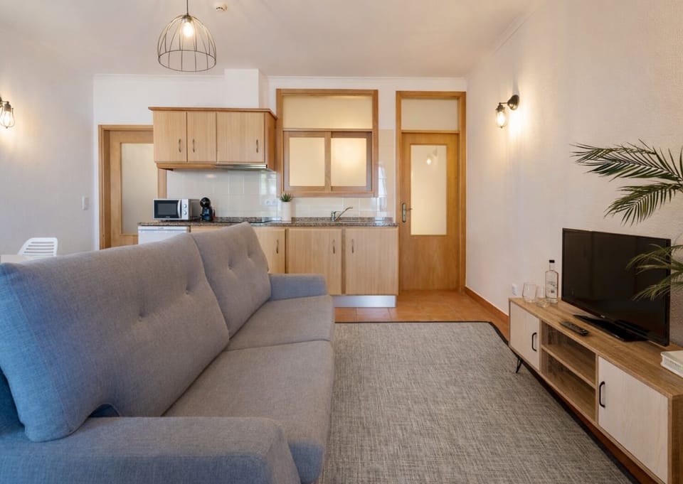 Apartment, 1 Bedroom, Kitchenette | Living area | TV, table tennis, books
