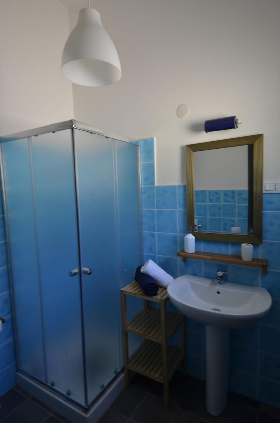 Shower, bidet, soap, toilet paper