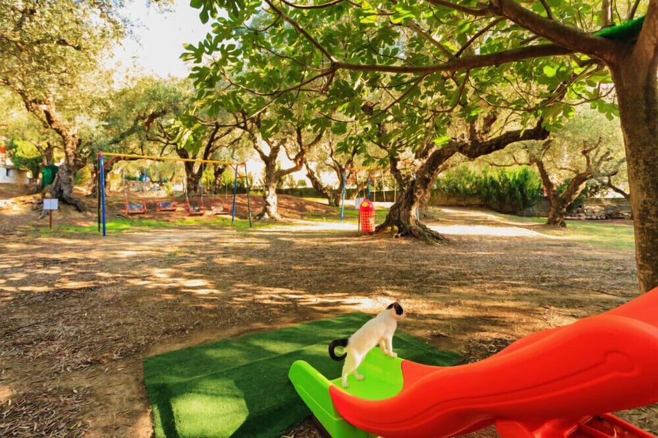 Children's play area - outdoor