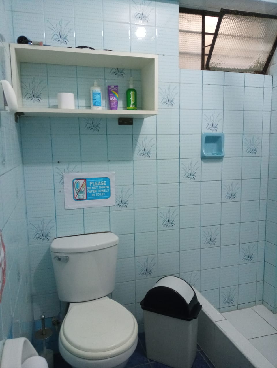 Shower, towels, soap, toilet paper