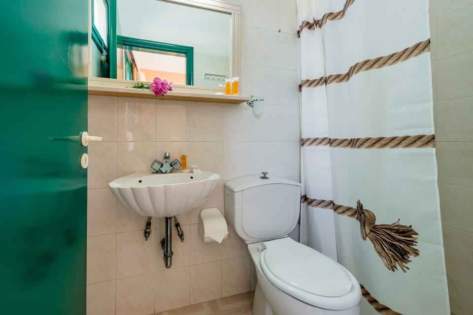 Double or Twin Room | Bathroom | Combined shower/tub, free toiletries, hair dryer, towels