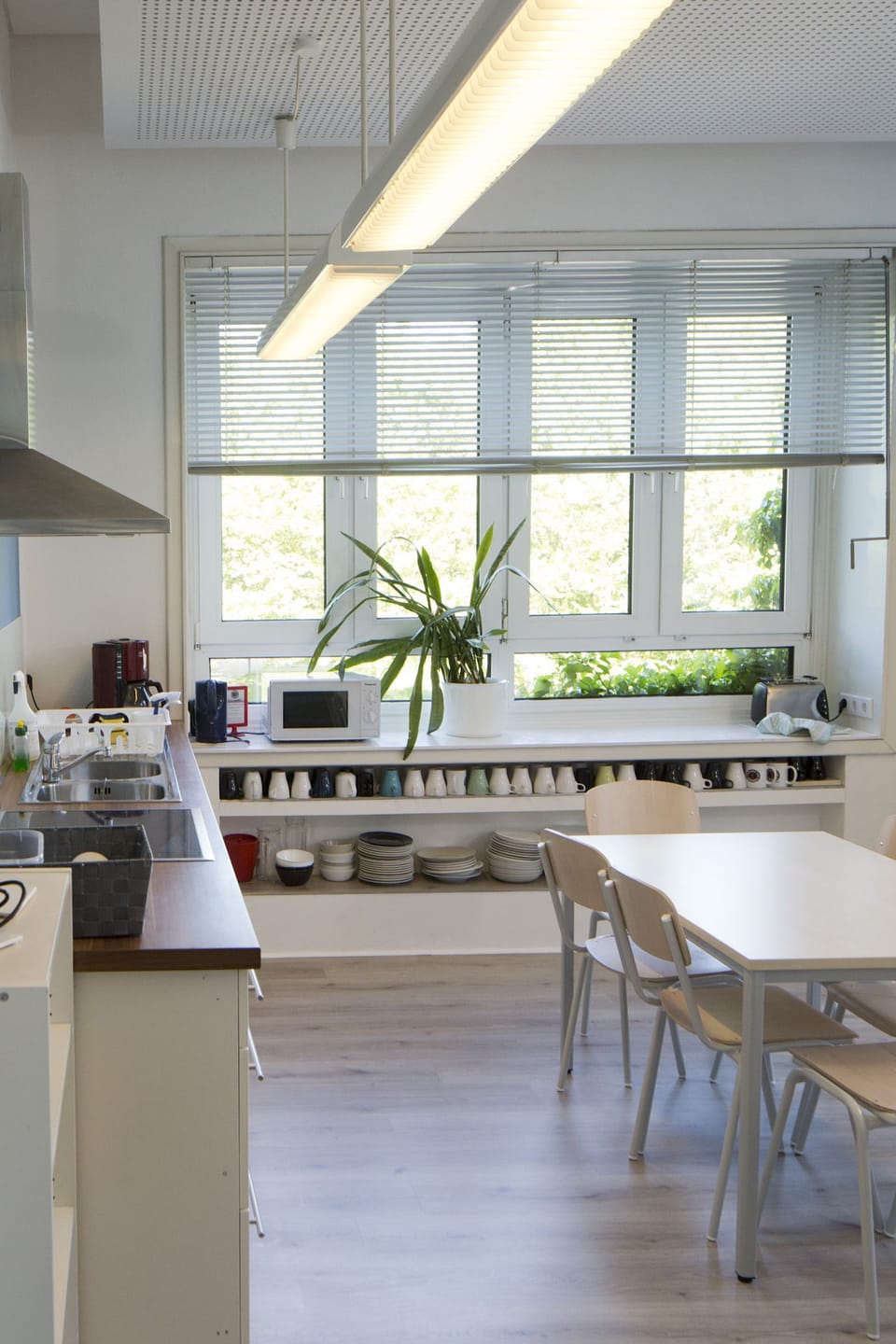 Shared fridge, microwave