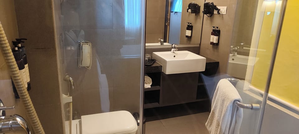Club Room, 1 Double Bed, City View | Bathroom | Free toiletries, hair dryer, bathrobes, slippers