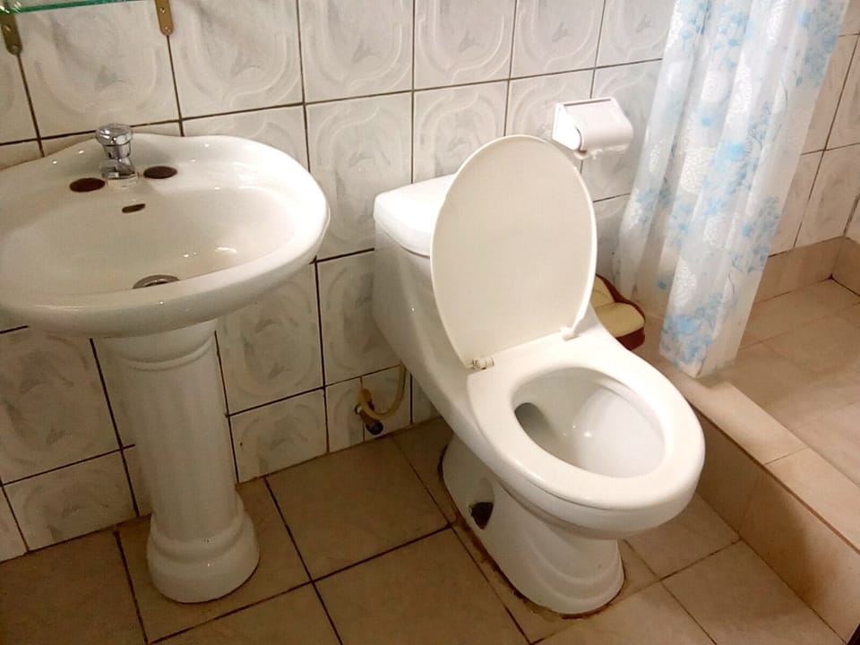 Deluxe Double Room | Bathroom | Shower, towels