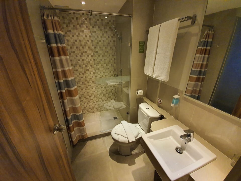 Deluxe Double Room | Bathroom | Shower, towels, soap, shampoo
