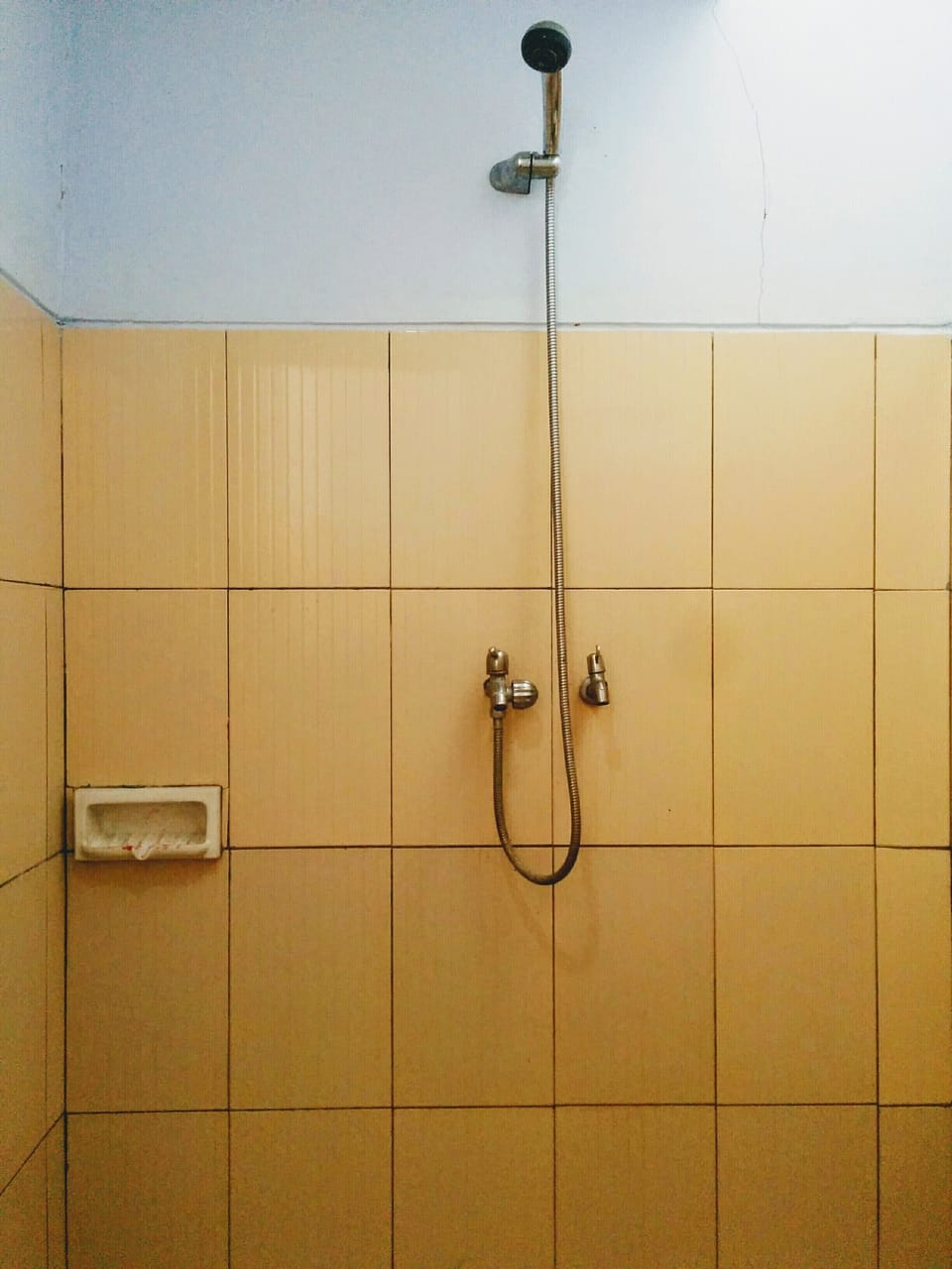 Standard Double Room (with AC) | Bathroom shower