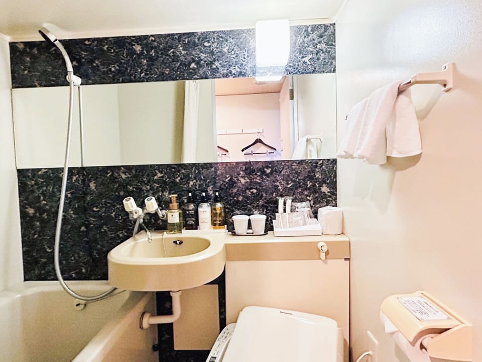 Combined shower/tub, free toiletries, hair dryer, slippers
