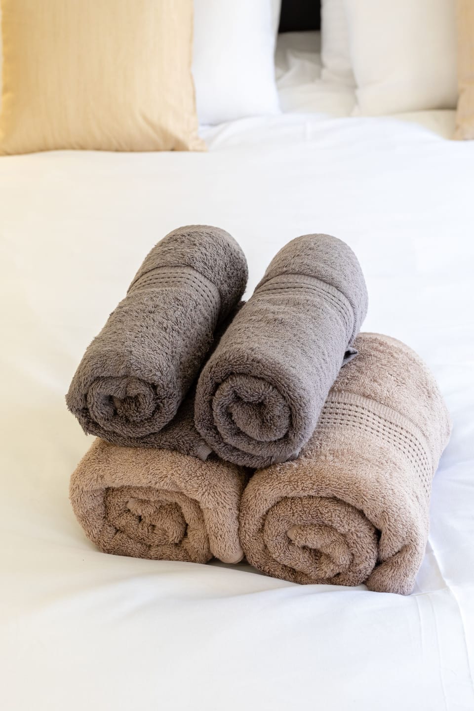 Hair dryer, bidet, towels