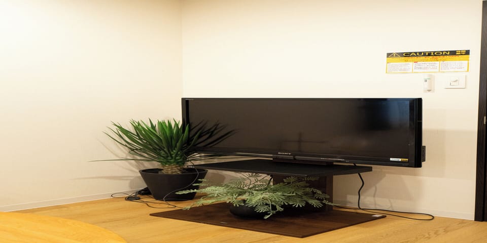 Television